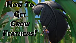 How To get Crow Feathers! | Grounded