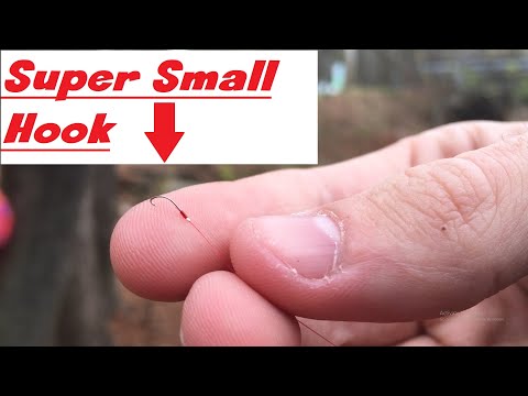 Micro-fishing Creeks for a NEW SPECIES (Lifelisting)