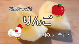 りんご切って食べます朝良く蜜も栄養もたっぷりぎゃんぎゃん
