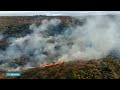Nog nooit stond er zoveel Braziliaans regenwoud in brand - RTL NIEUWS