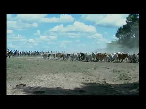 Dumar Aljure - Prestame tu navajita