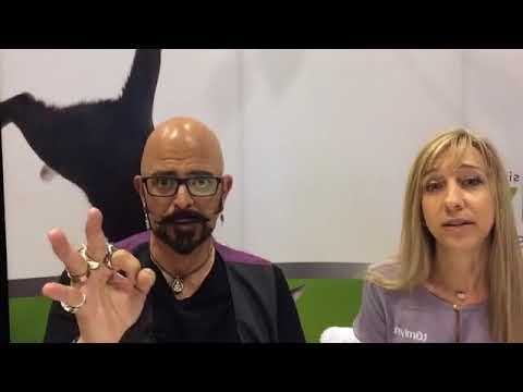 Tomlyn Live with Jackson Galaxy from Global Pet Expo 2018
