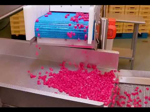 How are vitamin gummies made