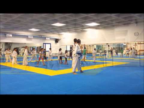 TAEKWONDO al Flaminia Sette