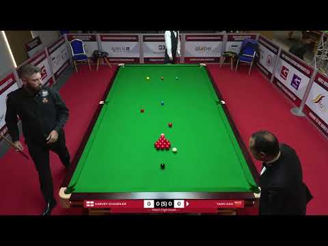 🏴󠁧󠁢󠁥󠁮󠁧󠁿Harvey Chandler vs 🇨🇳Yang Gao | 2024 WSF Championship