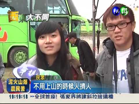 新社花海盛開 接駁車帶你賞花去!