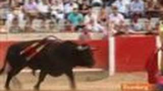 Spain's Catalonia Bans Bullfighting After Popular Outcry: Video