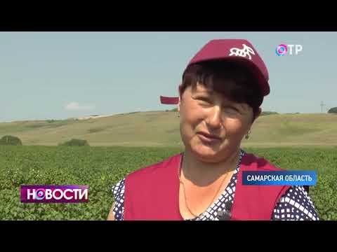 ЯФО-смородина в новостях Общественного телевидения России