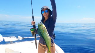 Fishing in Miami on Memorial Day Weekend (mahi and mangroves)