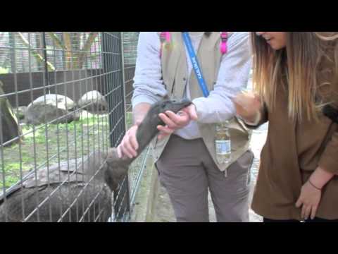 bruges, amsterdam, berlin, eastern europe.