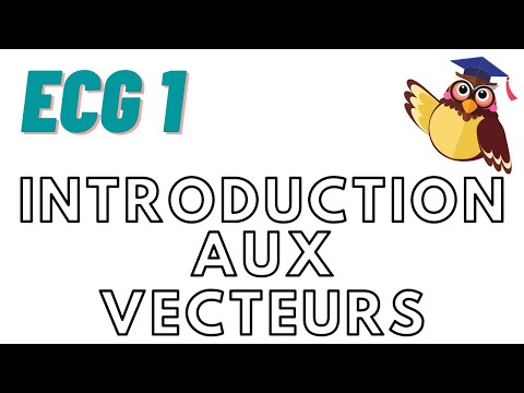 Espaces vectoriels : Introduction : les vecteurs !!!