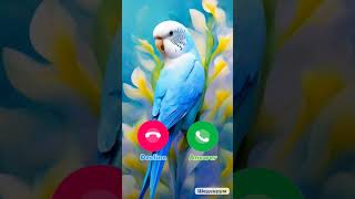 Download lagu #ringtone #smartphone #music #ringtones mp3