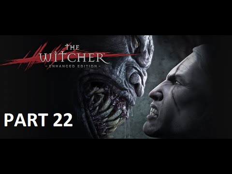 Let's Play The Witcher: Enhanced Edition Part 22: Investigating Berengar's Disappearance