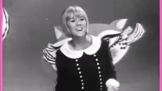 ♫ Lynne Randell ★ Walking My Cat Named Dog ♫