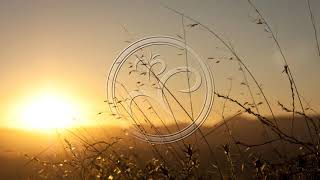 Way Out West - Lullaby Horizon (Ben Böhmer Extended Mix)