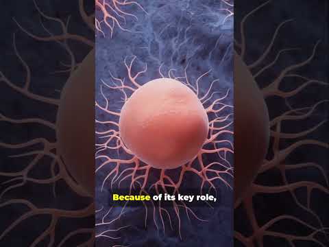 JAK1: The Unsung Hero of Cellular Signaling