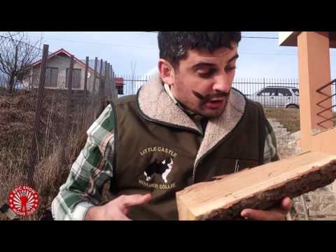 Epic Ur ne povestește despre Verestoy Attila