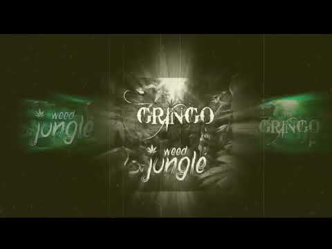 GRINGO x BONG  - Pamietaj