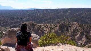 Led Here By An Eagle-The Rippingtons