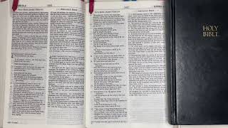 Your DAILY BREAD, THE BIBLE:10/14/25 Psalm 121, Daniel 3:1-5:31, Luke 6:1-49.