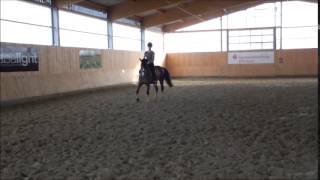 Wideo od Steverheides Wolfsblut