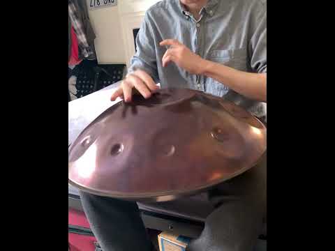 Immagine Handpan E Raga Desya Todi - 4
