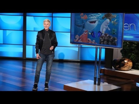 Ellen's Comments on the Travel Ban