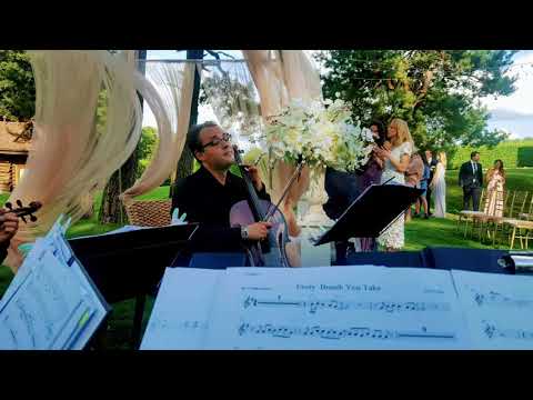 Styginių kvartetas "Archi Quartett"  #2