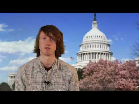 Publicola Stimulus Report - Feb. 14