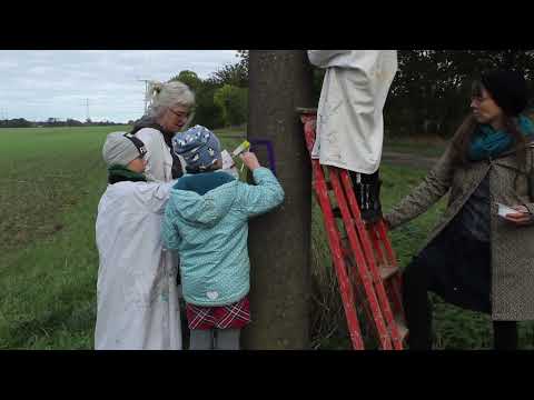 Crowdfunding Atelier zwo.7 e.V.