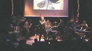 The Triffids - "Field of Glass"