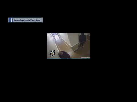 Newark PD Purse Theft
