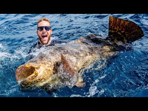 Giant Grouper Fishing Battle
