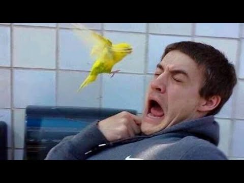 clean memes that butter my cheese