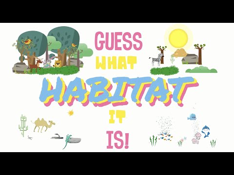 Guess what habitat it is!