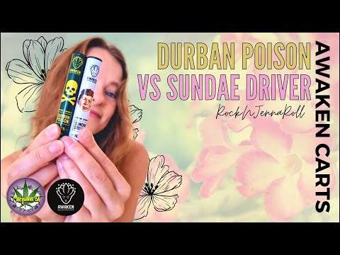 Awaken Carts Experience!