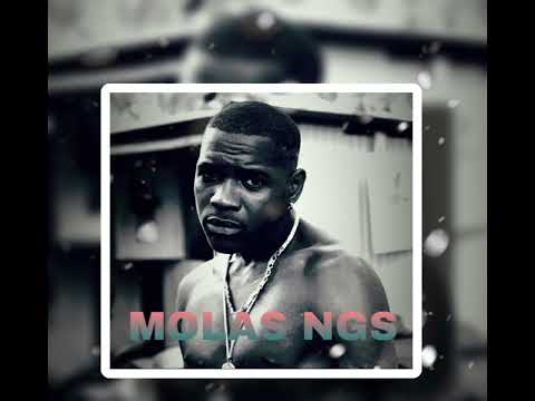 MOLAS ngss - ambara zaou
