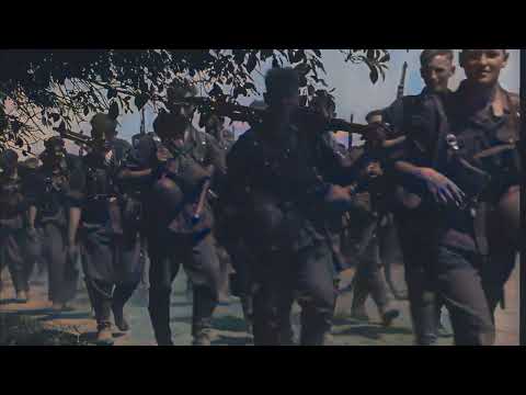 The largest offensive in human history, Operation Barbarossa, Germany invaded the Soviet Union #ww2