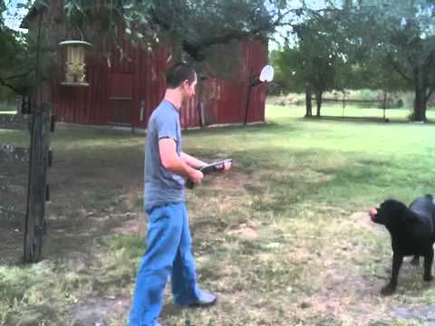 Shooting Sawed Off 12GA Shotgun And It Breaks