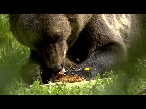 Faszination Karawanken - Mythos Grenze (promo dreiD.at Original)