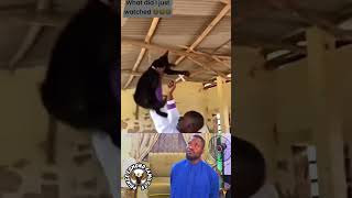 Download lagu Pendeta Afrika dan pelepasan roh jahat 🤣🤣 #lucu #bayibarulahir mp3