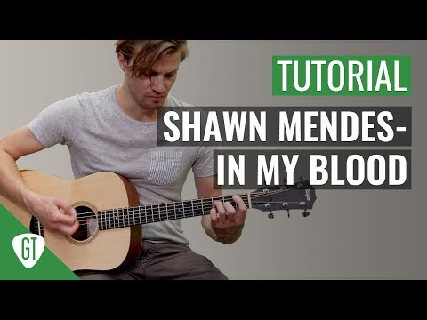 Shawn Mendes - In My Blood | Gitarren Tutorial Deutsch