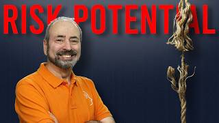 Before You Start: How to Carry out a Risk Potential Review
