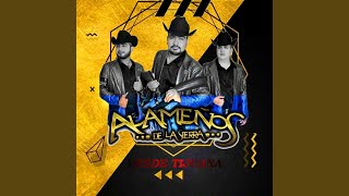 La Loba Del Mal & El Pavido Navido (En vivo) Lyrics English Translation