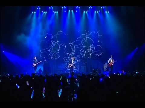 100731 Listen To The Cnblue  Black flower