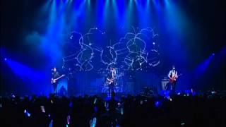 100731 Listen To The Cnblue  Black flower