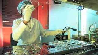 How we produce