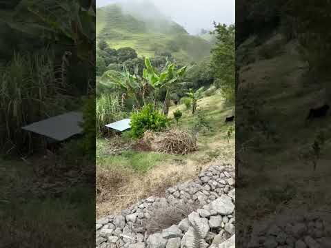 VENTA DE FINCA CORREGIMIENTO DE PADUA TOLIMA, A 25 MINUTOS DE FRESNO TOLIMA