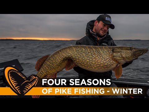 Four Seasons of Pike fishing Episode #4 - Winter fishing with Sean Wit