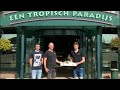 De vlinders en rupsen van de Orchideeën Hoeve